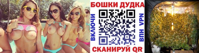 Как найти наркотики Александровское Каннабис A-PVP Гашиш АМФЕТАМИН COCAIN