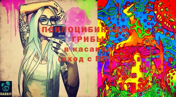 гидра Нея