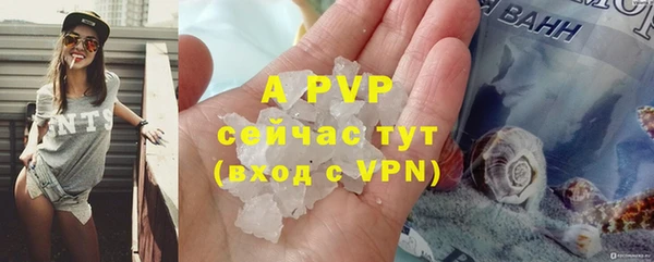 прущие грибы Белоозёрский