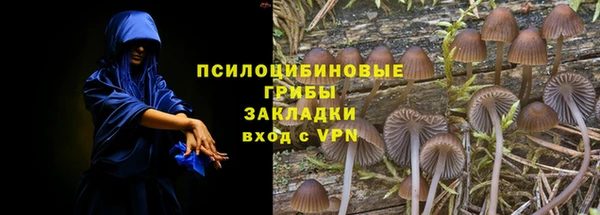 прущие грибы Белоозёрский
