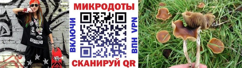 Псилоцибиновые грибы Psilocybine cubensis  где продают наркотики  Александровское 